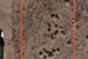2232 Forest Ln, Overgaard, AZ 85933 - Photo 1