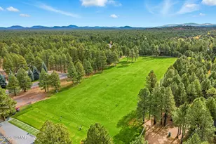 4563 Resort Loop, Pinetop, AZ 85935 - Photo 19