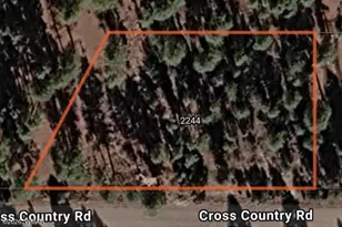 2244 Cross Country Rd, Overgaard, AZ 85933 - Photo 1