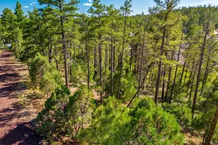 Tbd E Ellsworth, Show Low, AZ 85901 - Photo 1