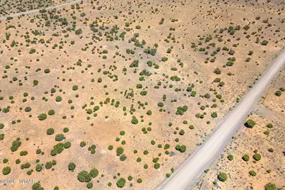 Tbd County Road 8643, Concho, AZ 85924 - Photo 15