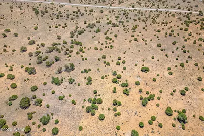 Tbd County Road 8643, Concho, AZ 85924 - Photo 7