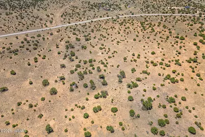 Tbd County Road 8643, Concho, AZ 85924 - Photo 5