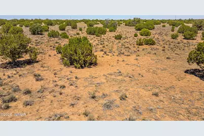 Tbd County Road 8643, Concho, AZ 85924 - Photo 1