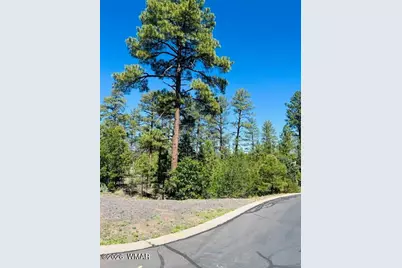 1900 S Silvertree Lane, Show Low, AZ 85901 - Photo 1