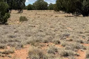 15 Pine Dr, Concho, AZ 85924 - Photo 1