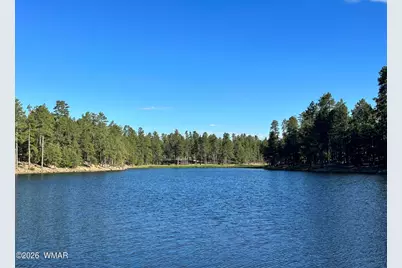 2184 North Woods Drive, Overgaard, AZ 85933 - Photo 29