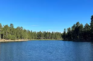 2184 N Woods Dr, Overgaard, AZ 85933 - Photo 29