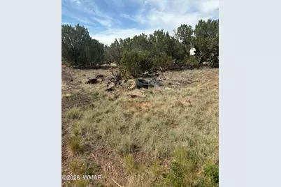 8547 Antelope Drive, Show Low, AZ 85901 - Photo 3