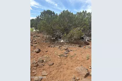 8549 Antelope Drive, Show Low, AZ 85901 - Photo 1