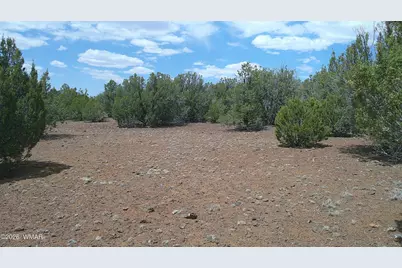 74 Co Road, Concho, AZ 85924 - Photo 3