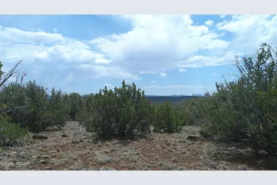 74 Co Road, Concho, AZ 85924 - Photo 9