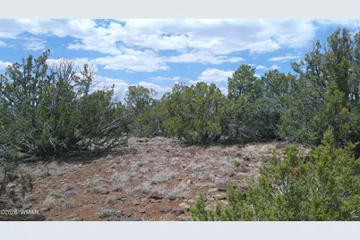 74 Co Road, Concho, AZ 85924 - Photo 5