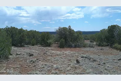 74 Co Road, Concho, AZ 85924 - Photo 7