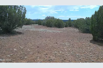 74 Co Road, Concho, AZ 85924 - Photo 1
