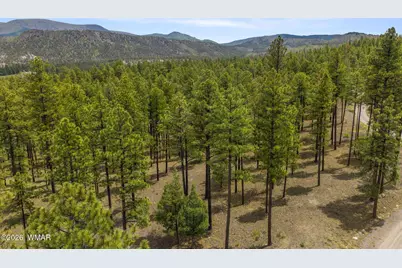 2184 N Highway 191, Nutrioso, AZ 85932 - Photo 15