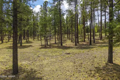 2184 N Highway 191, Nutrioso, AZ 85932 - Photo 17