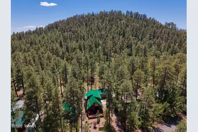 1669 E Rim Road, Pinetop, AZ 85935 - Photo 23