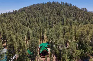 1669 E Rim Rd, Pinetop, AZ 85935 - Photo 23