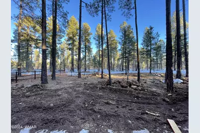 3824 Buck Springs Road, Pinetop, AZ 85935 - Photo 27