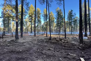 3824 Buck Springs Rd, Pinetop, AZ 85935 - Photo 27