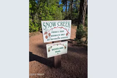 1710 W Snow Creek Loop, Show Low, AZ 85901 - Photo 35