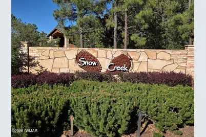1710 W Snow Creek Loop, Show Low, AZ 85901 - Photo 35
