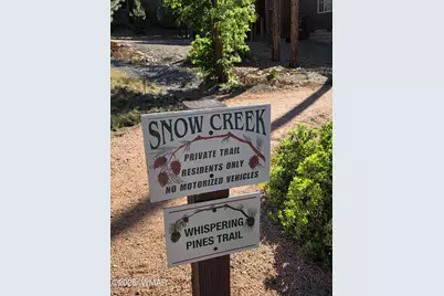 1710 W Snow Creek Loop, Show Low, AZ 85901 - Photo 33
