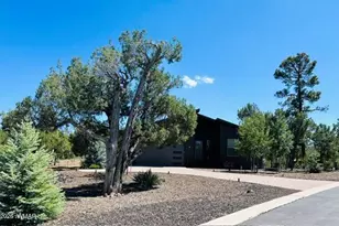891 W Snow Creek Trail, Show Low, AZ 85901 - Photo 25