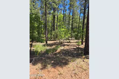 1412 Big Springs Trail, Lakeside, AZ 85929 - Photo 9