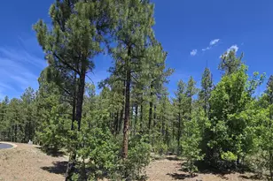 1412 Big Springs Trl, Lakeside, AZ 85929 - Photo 1