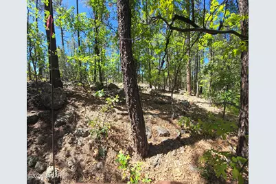1412 Big Springs Trail, Lakeside, AZ 85929 - Photo 13
