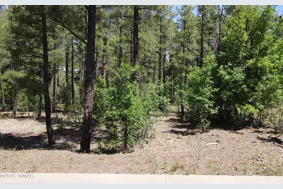 1412 Big Springs Trail, Lakeside, AZ 85929 - Photo 17