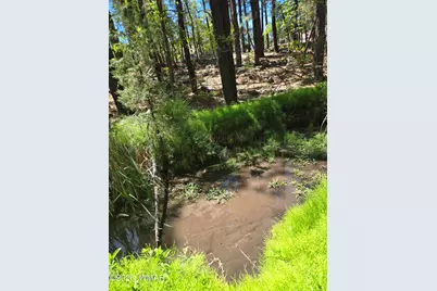 1412 Big Springs Trail, Lakeside, AZ 85929 - Photo 3