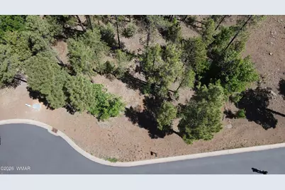1412 Big Springs Trail, Lakeside, AZ 85929 - Photo 5