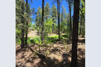 1412 Big Springs Trail, Lakeside, AZ 85929 - Photo 15