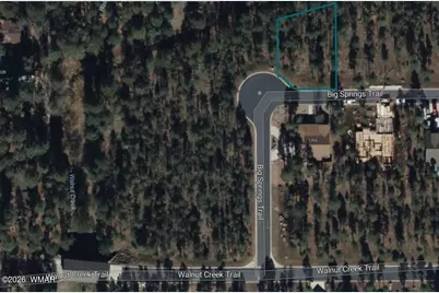 1412 Big Springs Trail, Lakeside, AZ 85929 - Photo 19