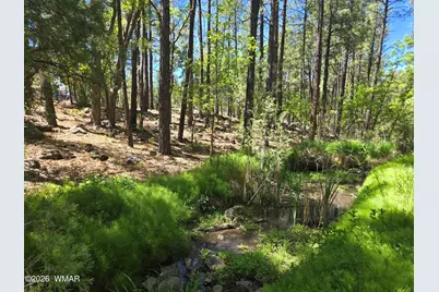 1412 Big Springs Trail, Lakeside, AZ 85929 - Photo 11