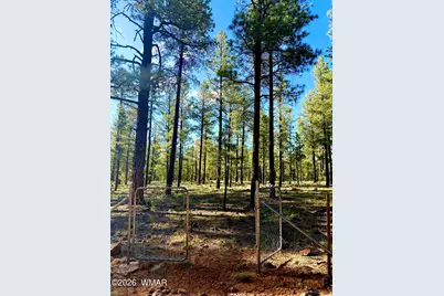 6304 Wild Cat Way, Pinetop, AZ 85935 - Photo 3