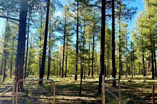 6304 Wildcat Way, Pinetop, AZ 85935 - Photo 3