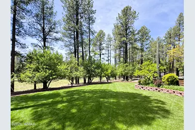 535 E Woodland Lake Road, Pinetop, AZ 85935 - Photo 69