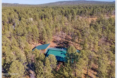 535 E Woodland Lake Road, Pinetop, AZ 85935 - Photo 65