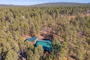 535 E Woodland Lake Rd, Pinetop, AZ 85935 - Photo 65