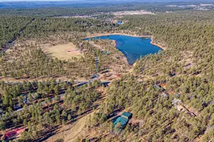 535 E Woodland Lake Rd, Pinetop, AZ 85935 - Photo 67