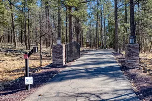 535 E Woodland Lake Rd, Pinetop, AZ 85935 - Photo 3