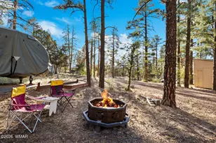 1381 N 25th Way, Show Low, AZ 85901 - Photo 53