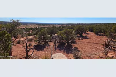 9880 Texas Lane, Show Low, AZ 85901 - Photo 3