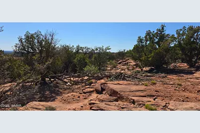 9880 Texas Lane, Show Low, AZ 85901 - Photo 15