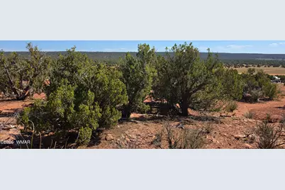 9880 Texas Lane, Show Low, AZ 85901 - Photo 5