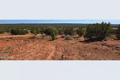 9880 Texas Lane, Show Low, AZ 85901 - Photo 29